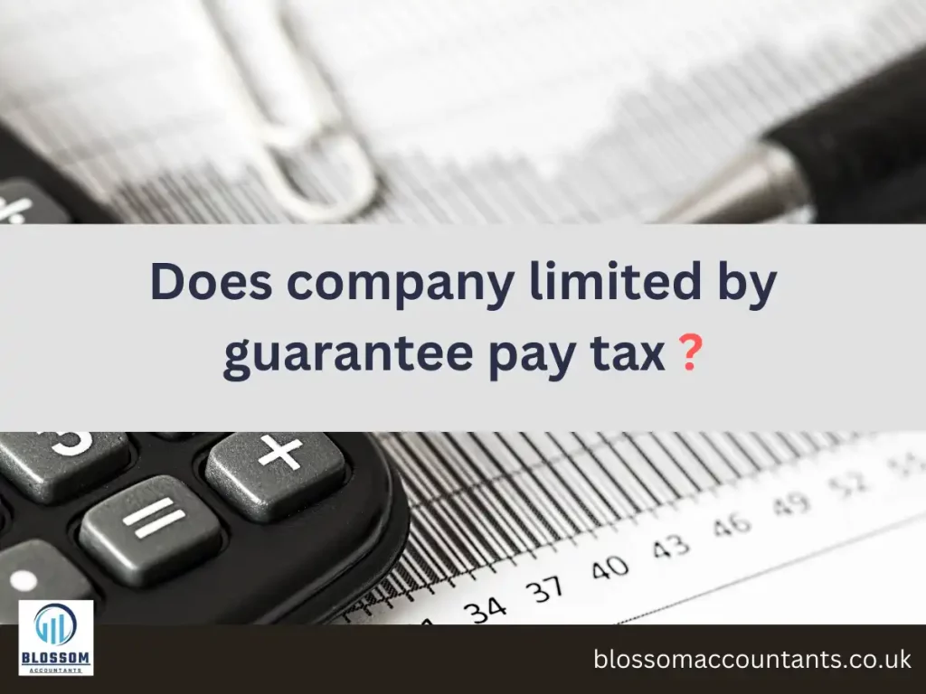 Does company limited by guarantee pay tax