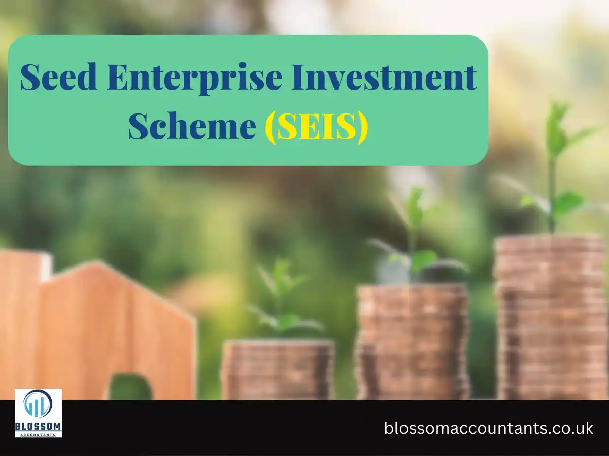 Seed Enterprise Investment Scheme (SEIS)