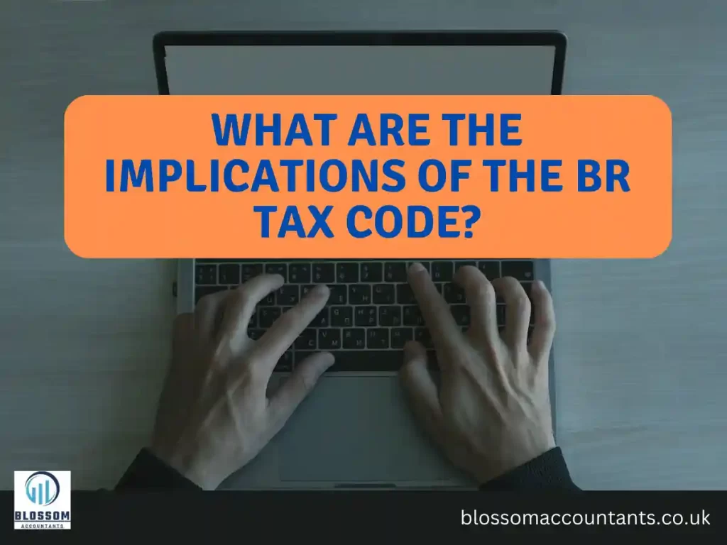 What are the implications of the BR Tax Code