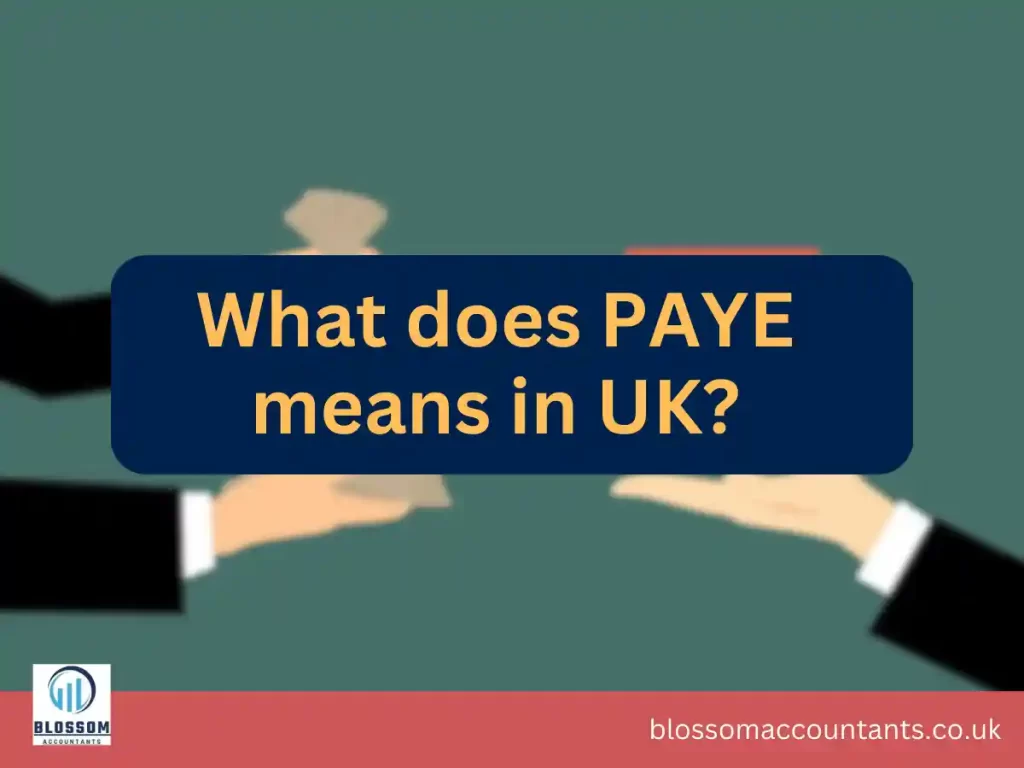What does PAYE means in UK