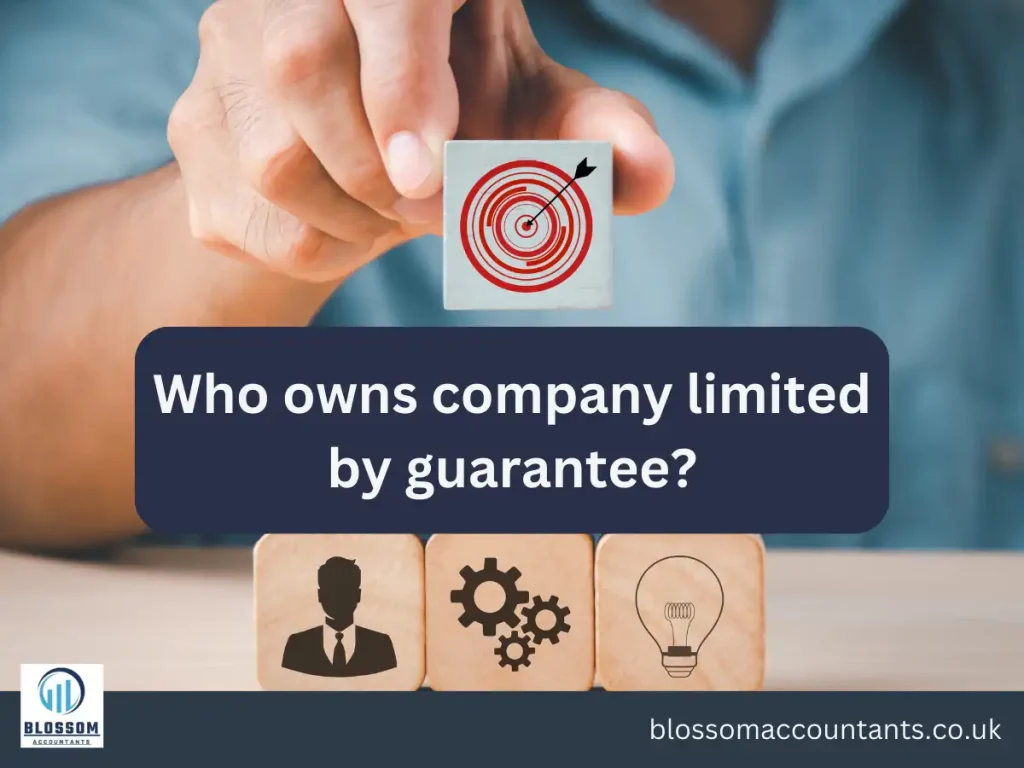 Who owns company limited by guarantee