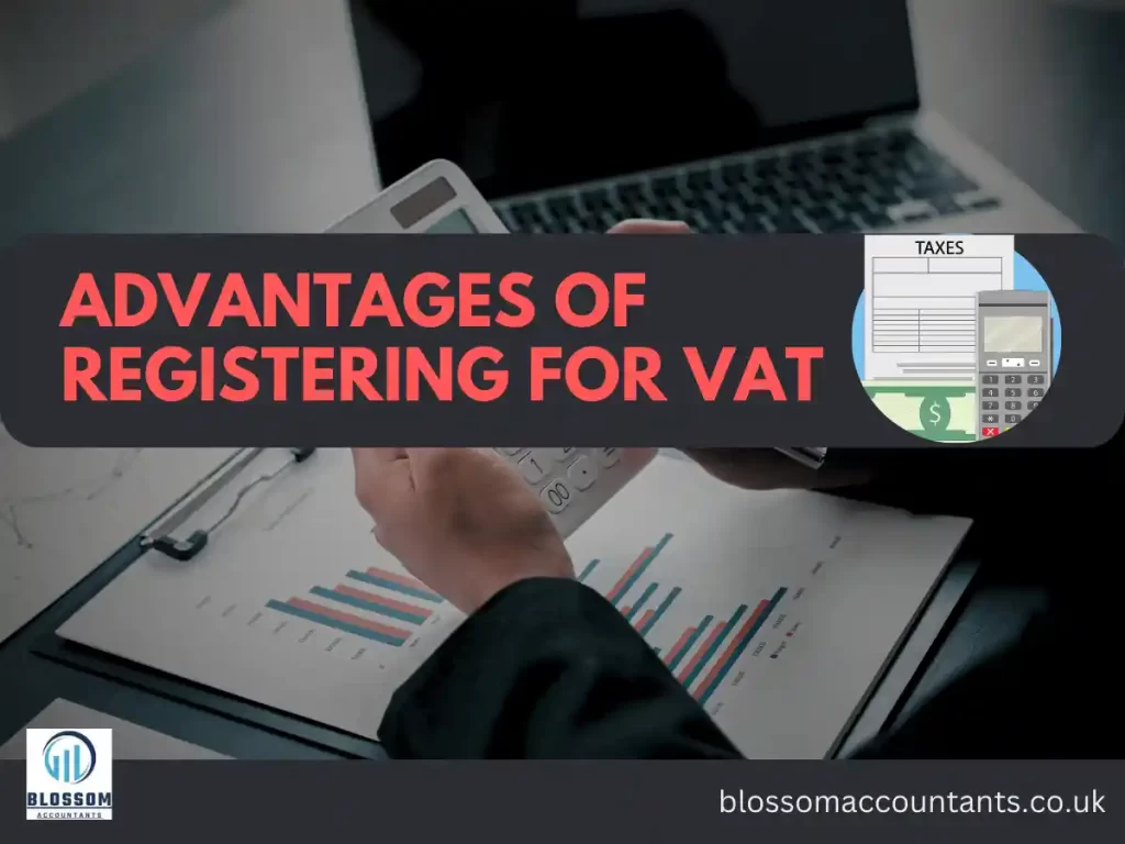 advantages of registering for VAT