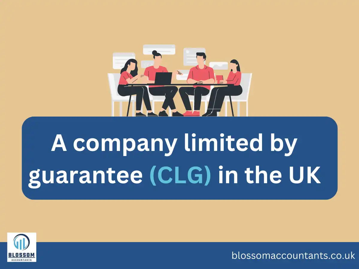 company limited by guarantee (CLG) in the UK