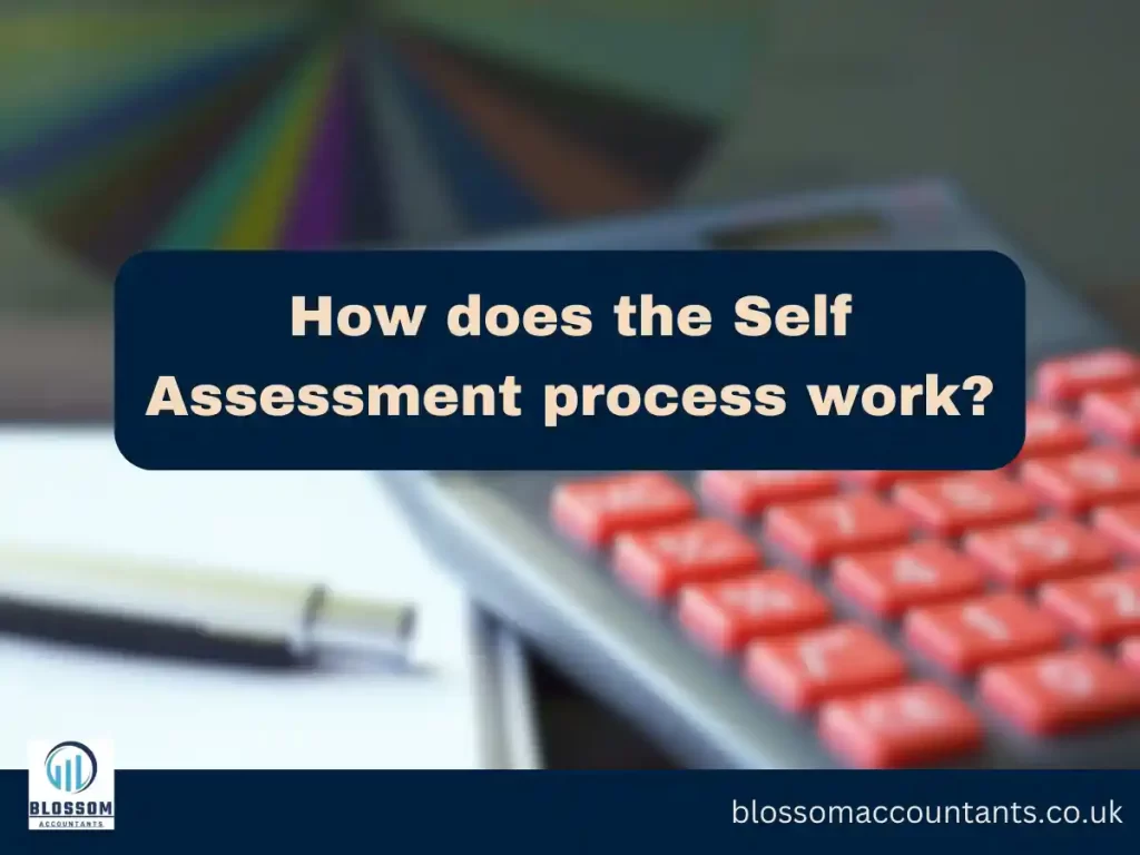 How does the Self Assessment process work