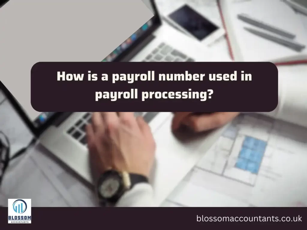 How is a payroll number used in payroll processing