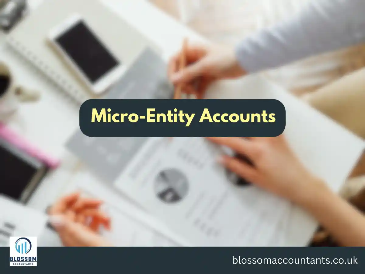 Micro-Entity Accounts