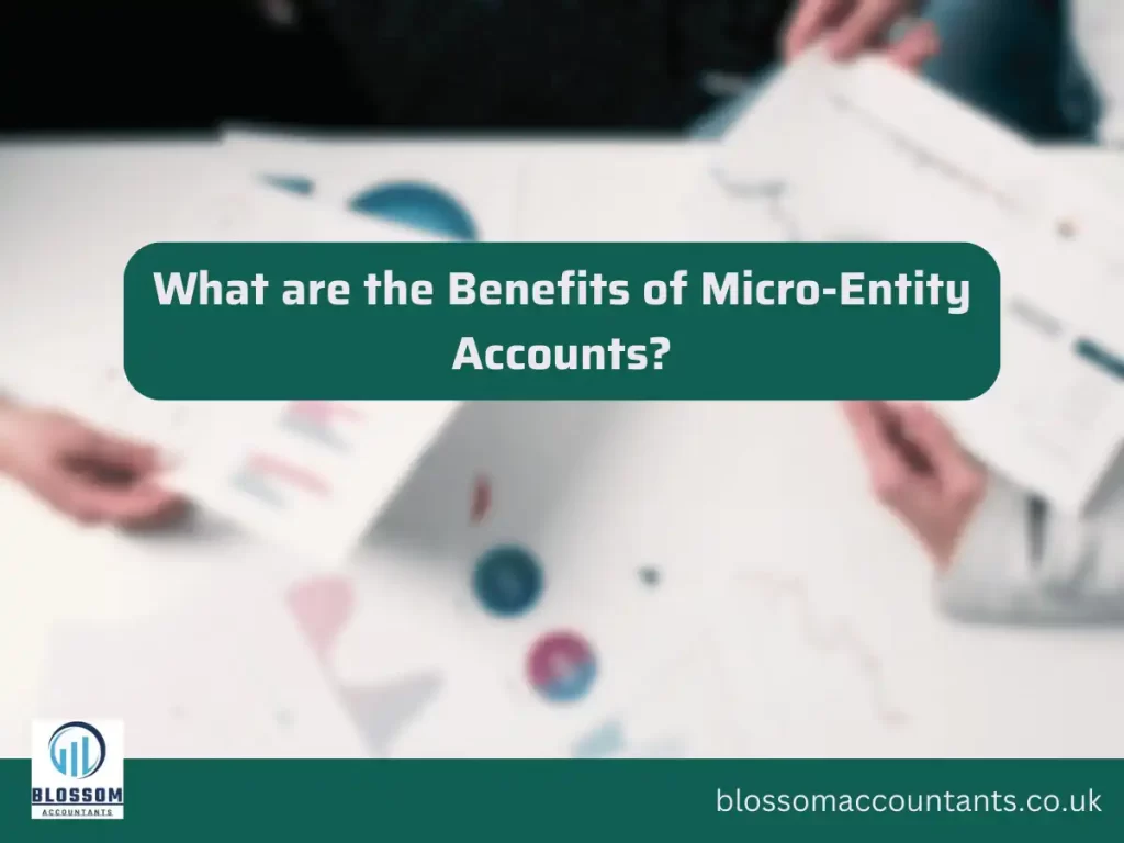 What are the Benefits of Micro-Entity Accounts