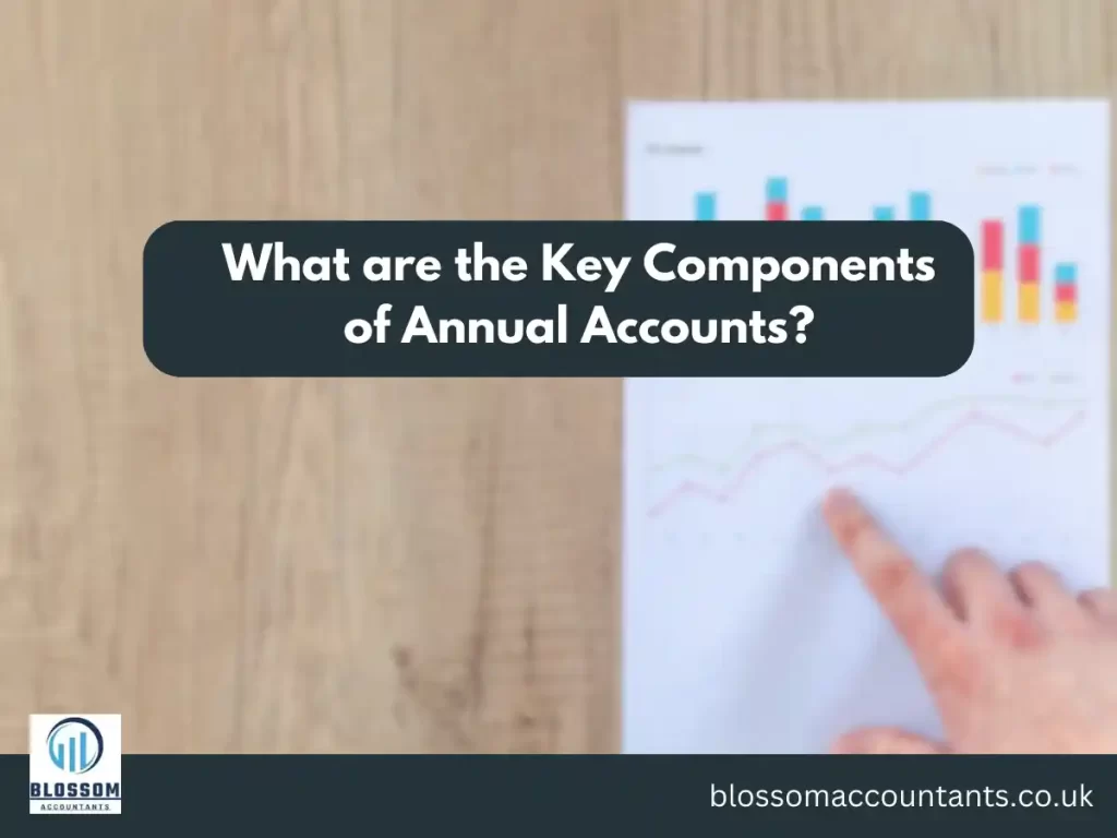 What are the Key Components of Annual Accounts