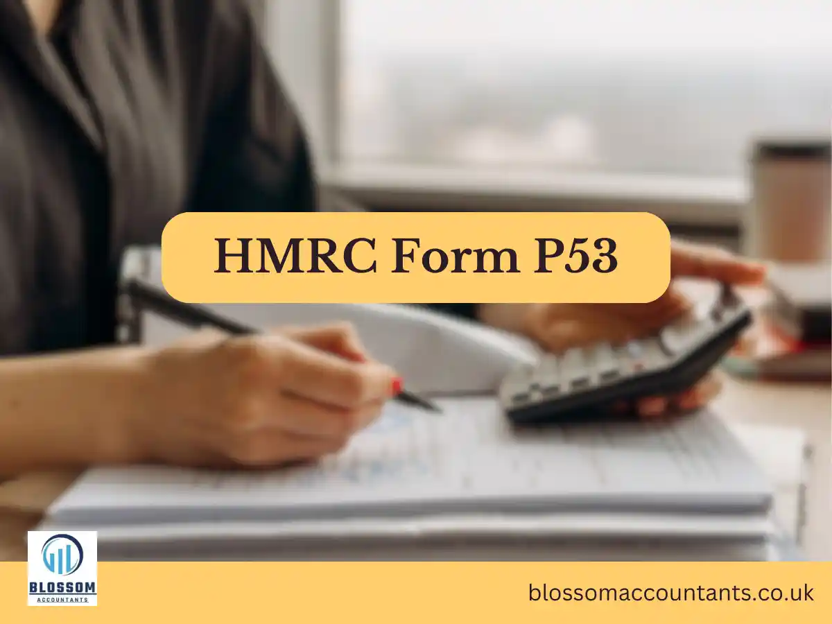HMRC Form P53