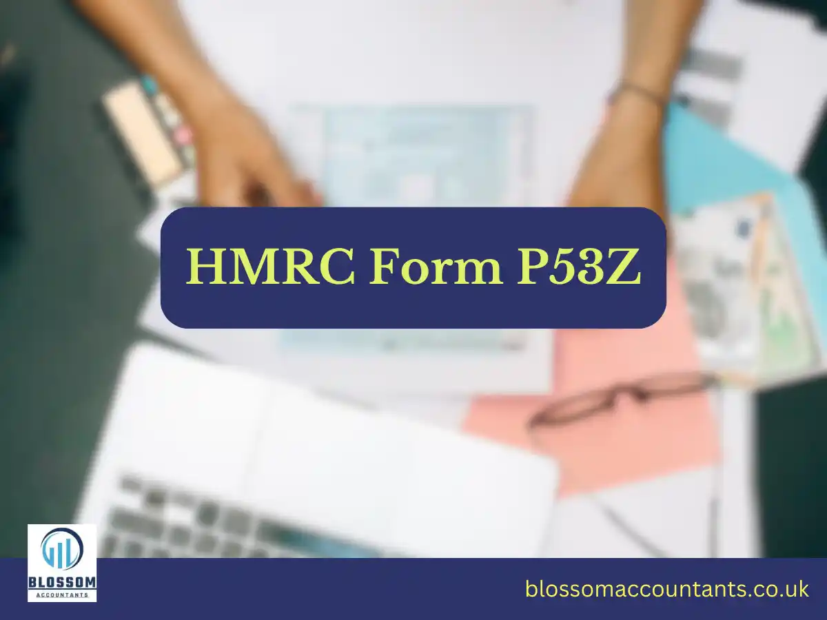 HMRC Form P53Z