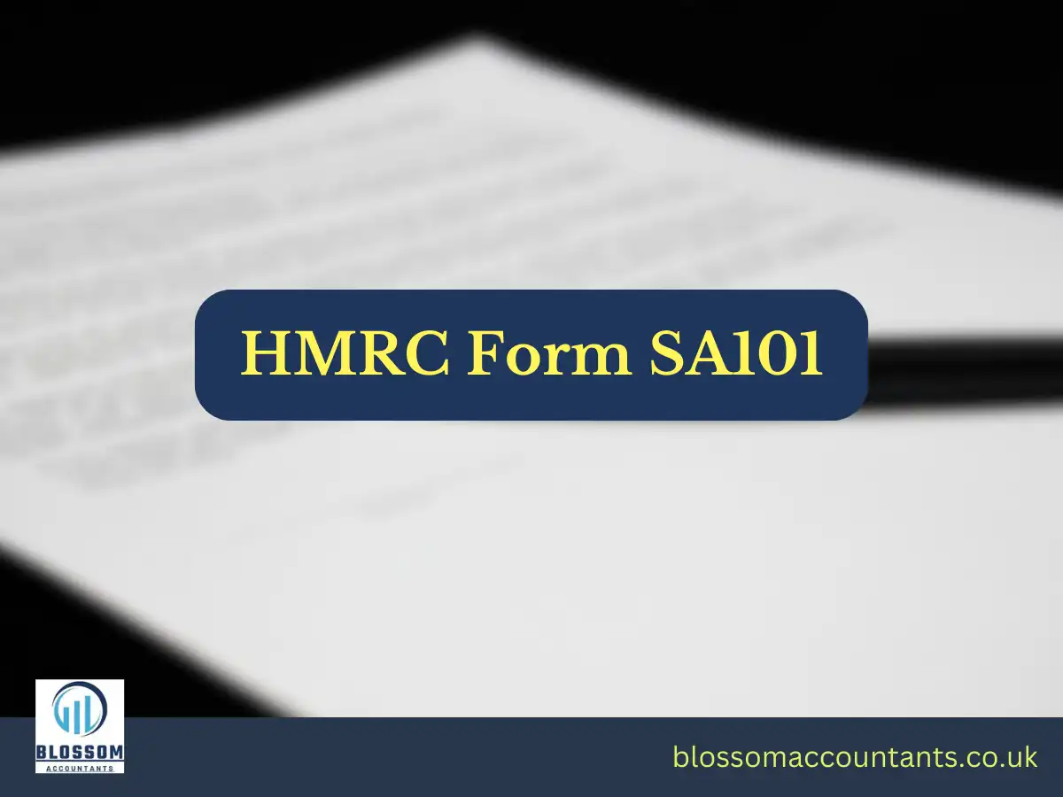 HMRC Form SA101