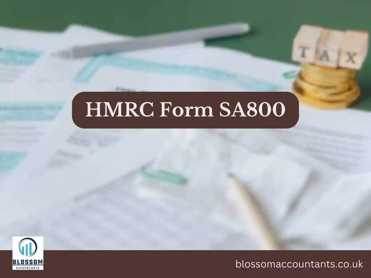 HMRC Form SA800