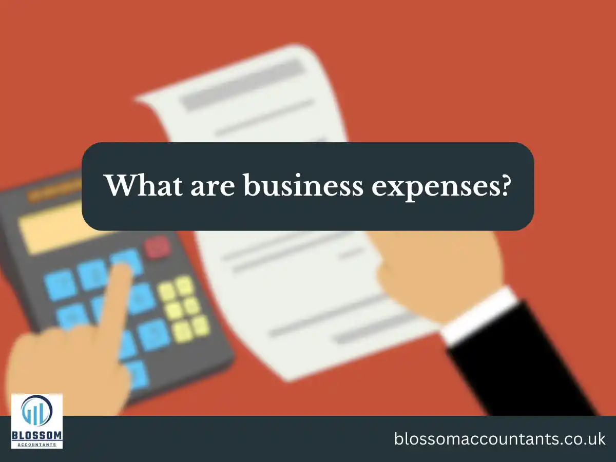 What are business expenses