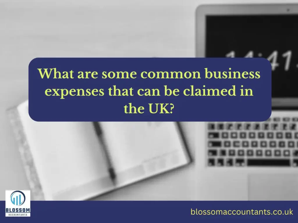 What are some common business expenses that can be claimed in the UK