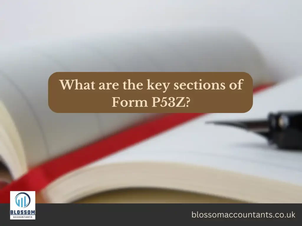 What are the key sections of Form P53Z