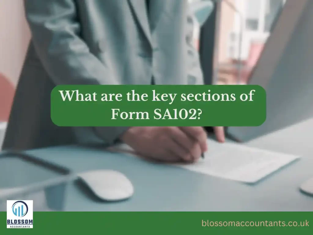 What are the key sections of Form SA102