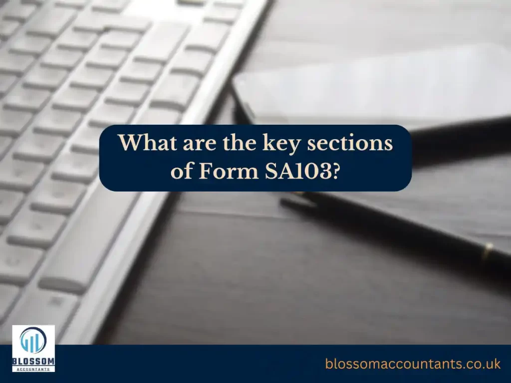 What are the key sections of Form SA103
