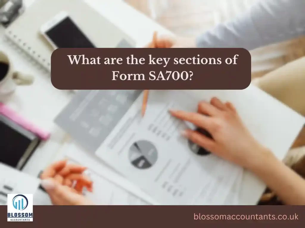 What are the key sections of Form SA700