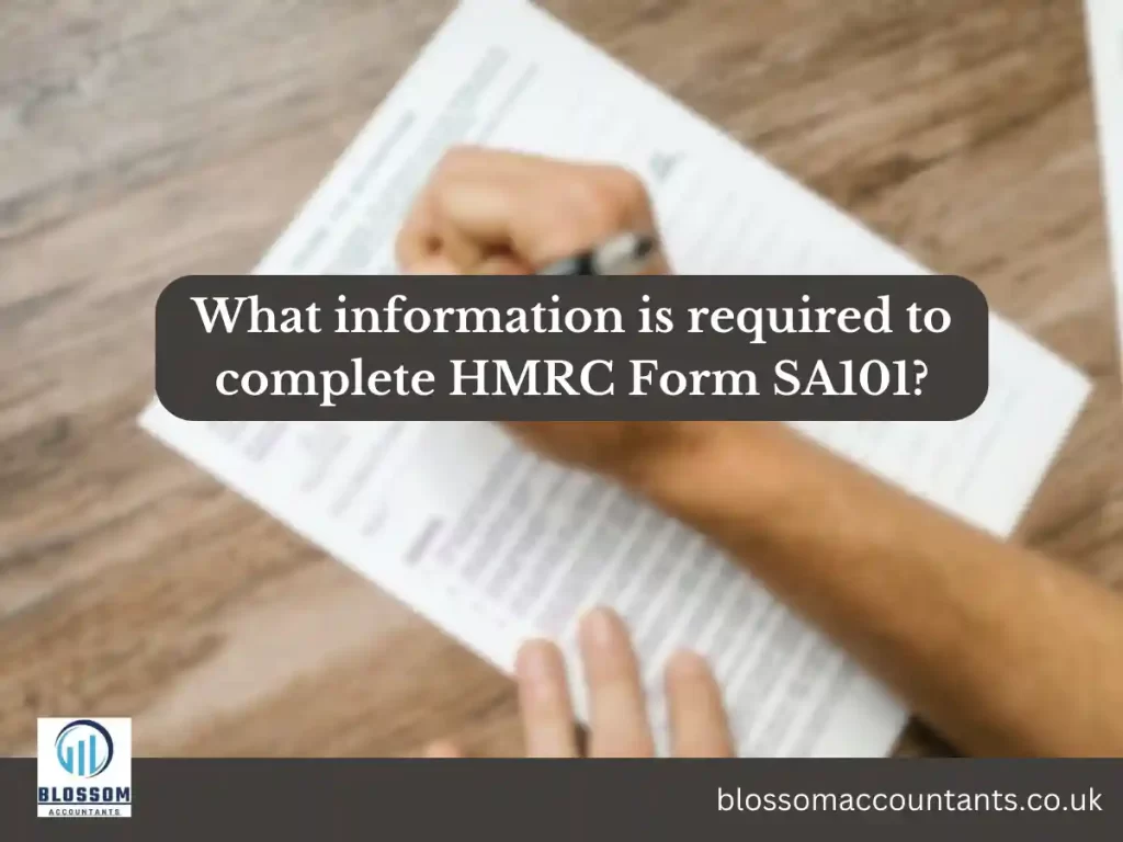 What information is required to complete HMRC Form SA101