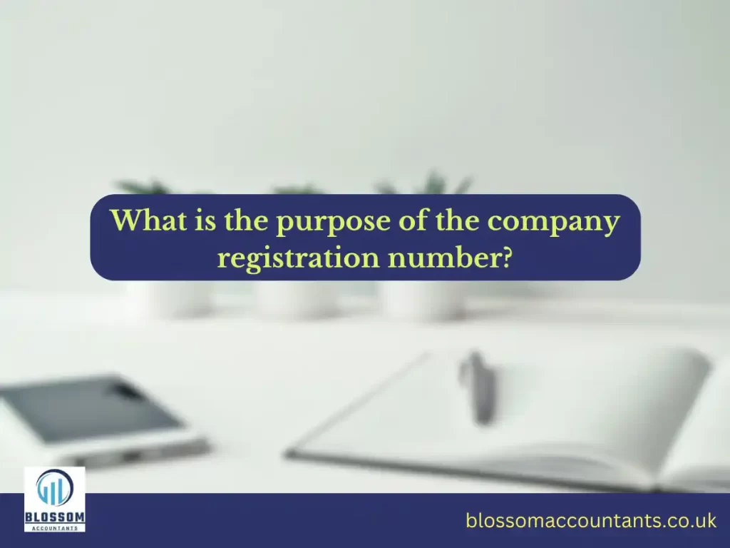What is the purpose of the company registration number