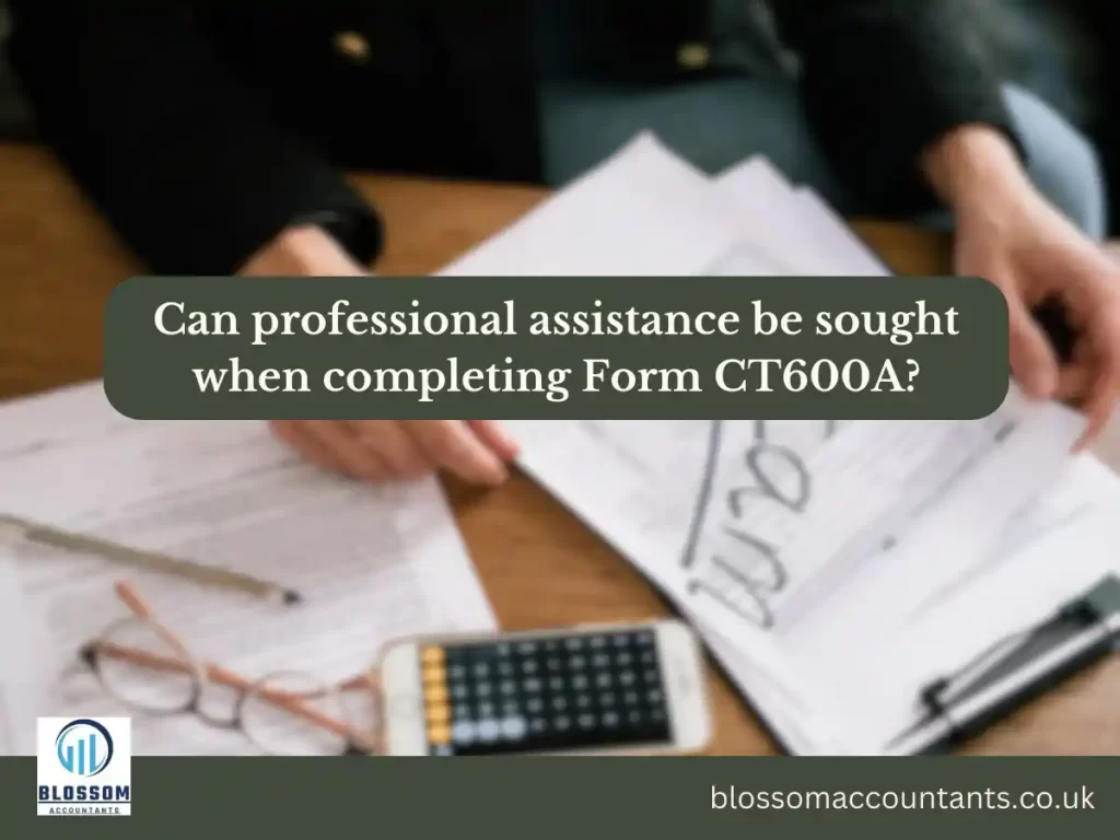 Can professional assistance be sought when completing Form CT600A