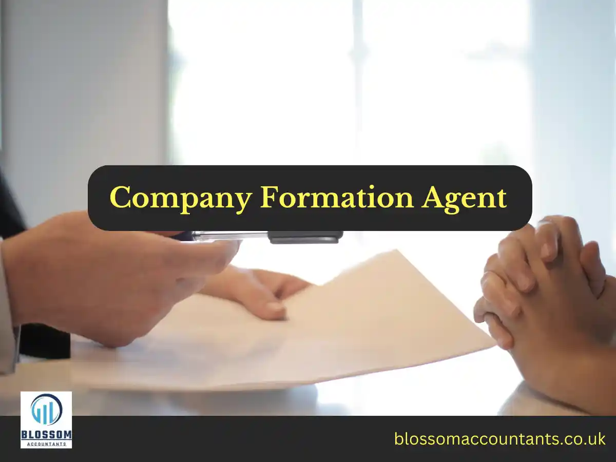 Company Formation Agent