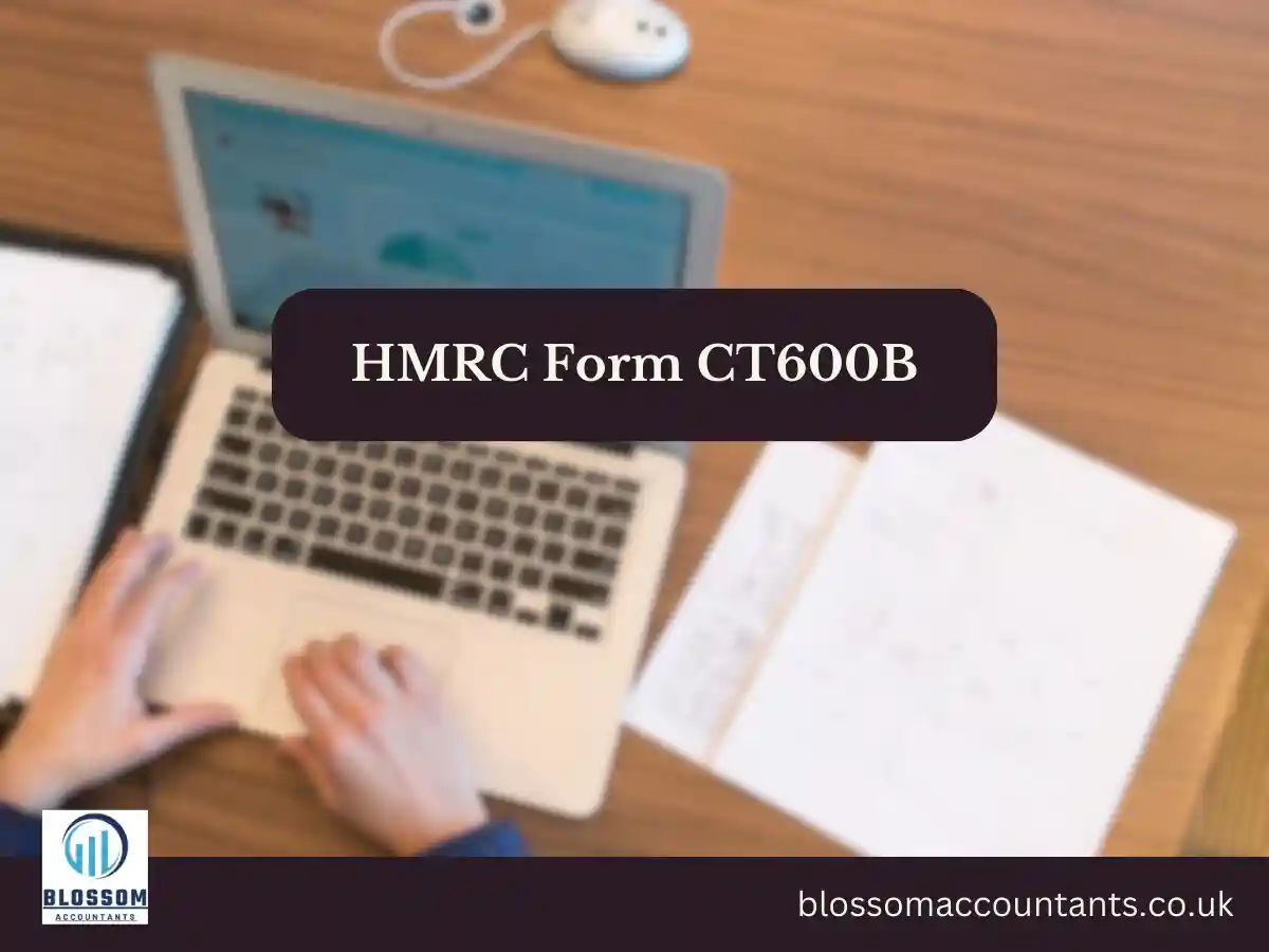 HMRC Form CT600B