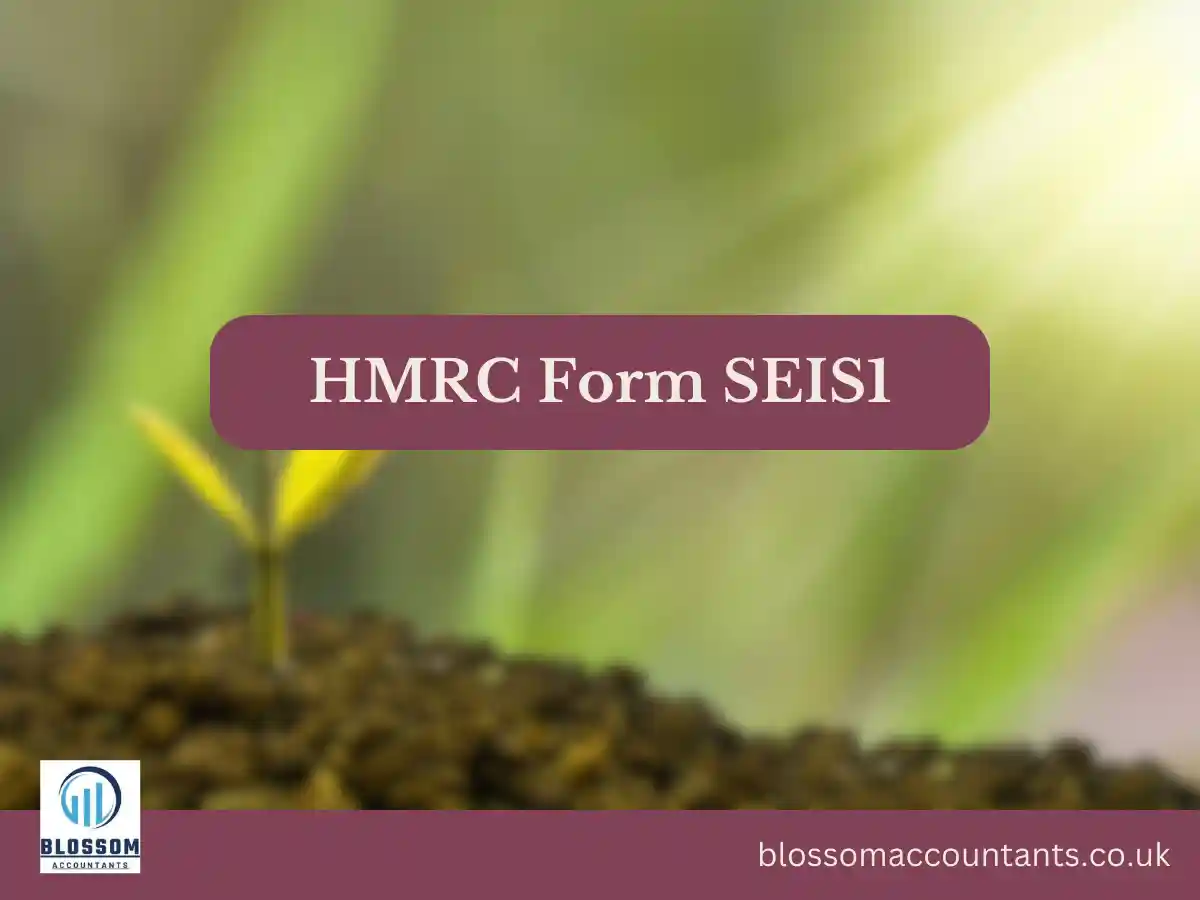 HMRC Form SEIS1