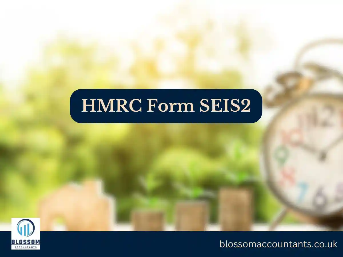 HMRC Form SEIS2