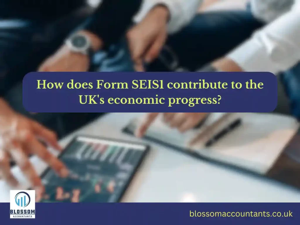 How does Form SEIS1 contribute to the UKs economic progress