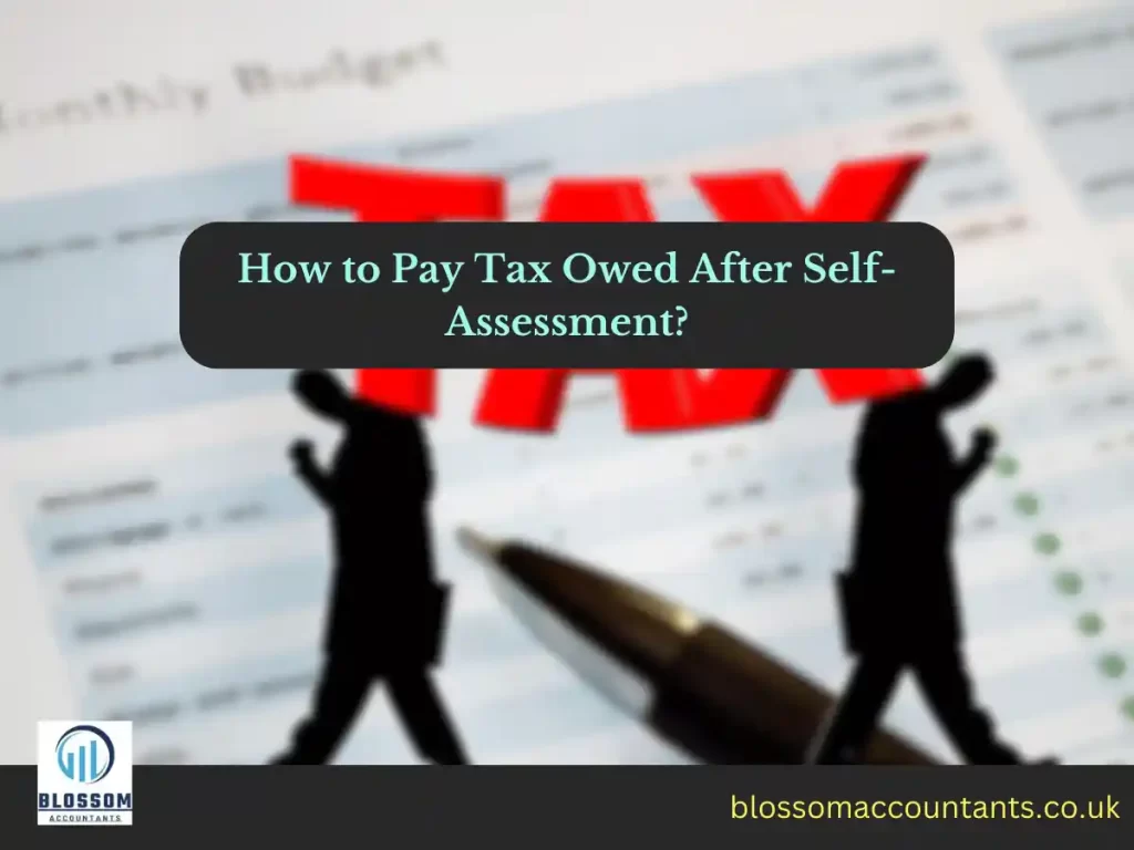 How to Pay Tax Owed After Self-Assessment