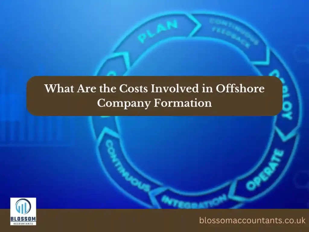 What Are the Costs Involved in Offshore Company Formation