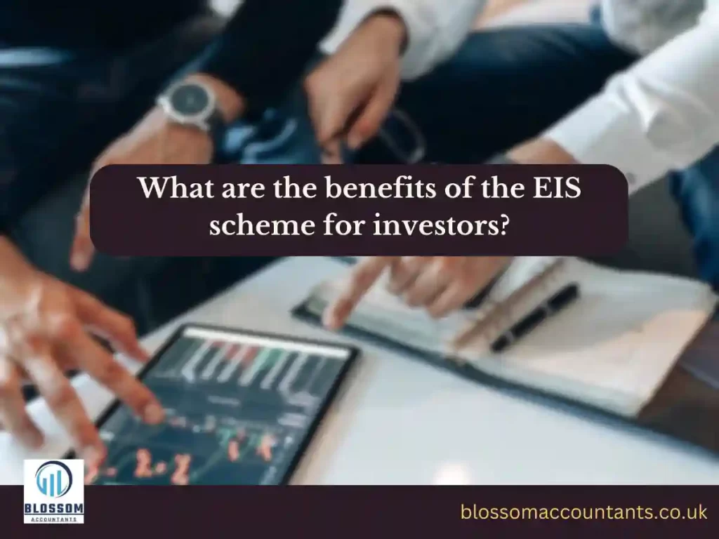 What are the benefits of the EIS scheme for investors