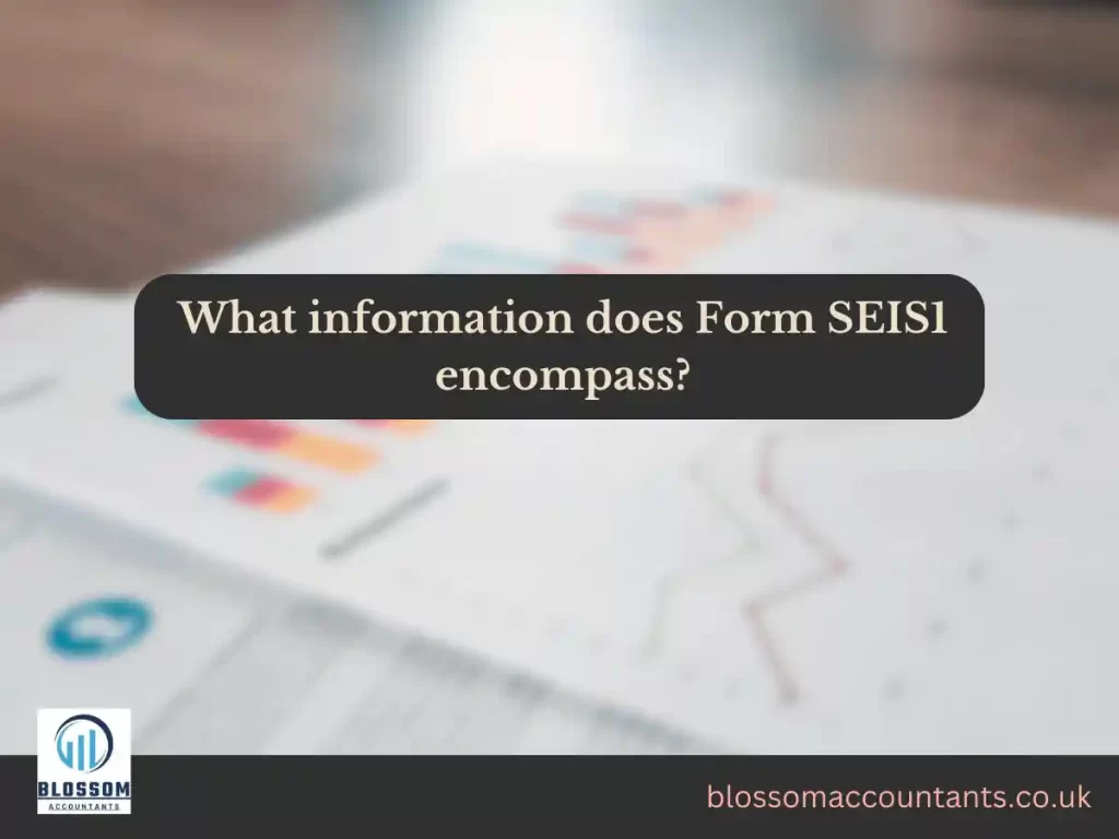 What information does Form SEIS1 encompass