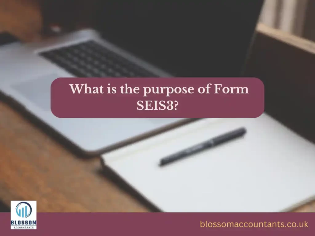 What is the purpose of Form SEIS3